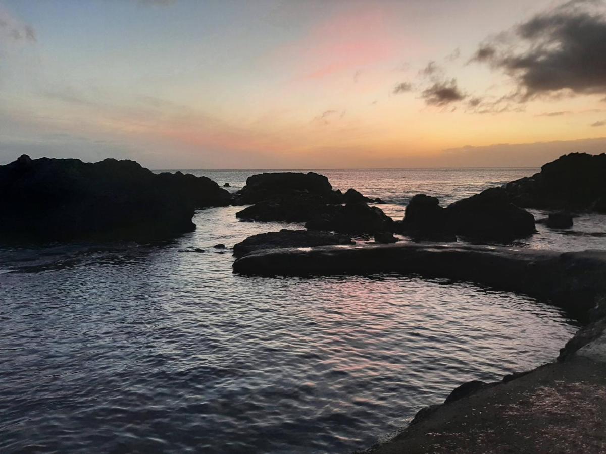 לאגואה Vila Nikau - Garden By The Sea מראה חיצוני תמונה