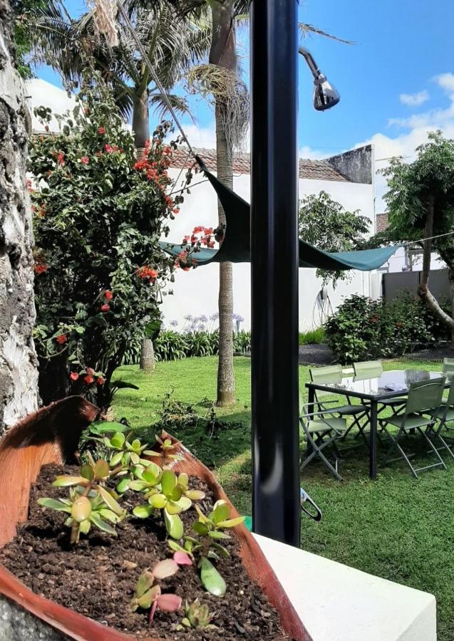 לאגואה Vila Nikau - Garden By The Sea מראה חיצוני תמונה
